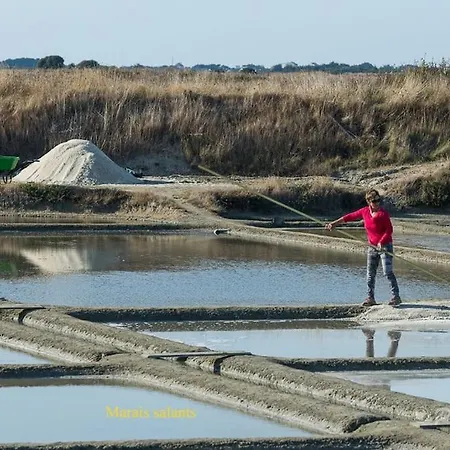 Duplex 4 Ch 1a10pers Tres Calme * La Baule-Escoublac
